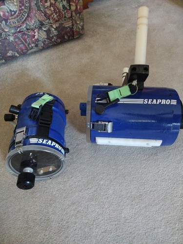 Pair seapro underwater - pair, of